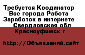 Требуется Коодинатор - Все города Работа » Заработок в интернете   . Свердловская обл.,Красноуфимск г.